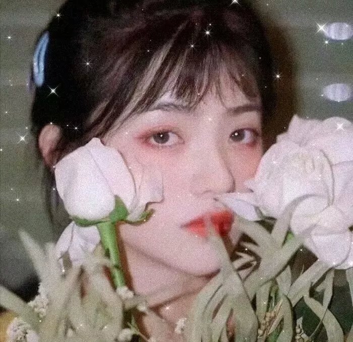 美女公寓 封面